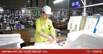 Quy định bao bì khi xuất khẩu vào châu Âu