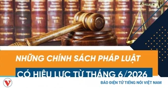 Quy định mới về xăng E10 và loạt chính sách pháp luật khác hiệu lực từ 6/2026