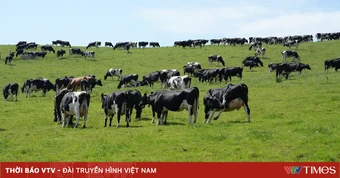 Quy trình truy xuất “từ đất đến ruột” của Ireland - quốc gia đứng thứ hai thế giới về an ninh lương thực