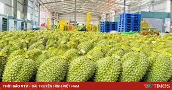 Rau quả Việt Nam duy trì đà tăng trưởng ấn tượng