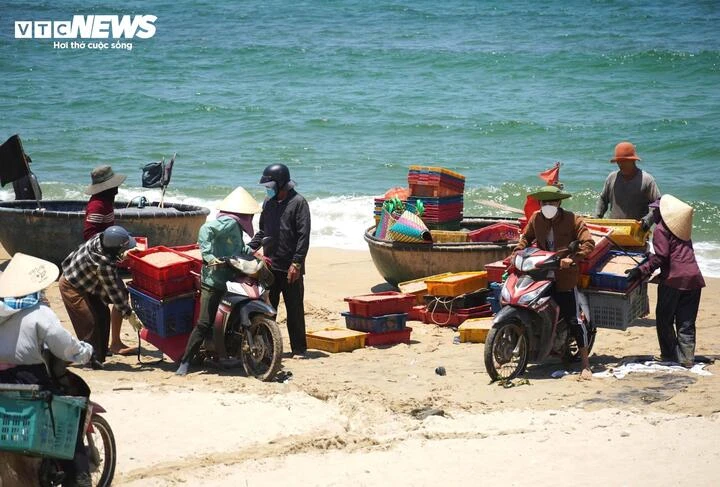 Ruốc xuất hiện dày đặc, ngư dân Đà Nẵng 'bỏ túi' bạc triệu sau vài giờ vươn khơi Ruốc xuất hiện dày đặc, ngư dân Đà Nẵng 'bỏ túi' bạc triệu sau vài giờ vươn khơi