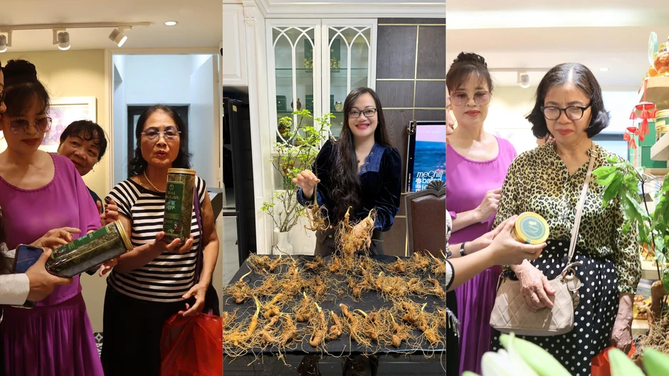 Sâm Lai Châu: OCOP 4 sao tạo sinh kế bền vững nơi núi rừng Tây Bắc Sâm Lai Châu: OCOP 4 sao tạo sinh kế bền vững nơi núi rừng Tây Bắc
