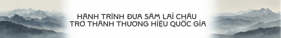Sâm Lai Châu: OCOP 4 sao tạo sinh kế bền vững nơi núi rừng Tây Bắc Sâm Lai Châu: OCOP 4 sao tạo sinh kế bền vững nơi núi rừng Tây Bắc