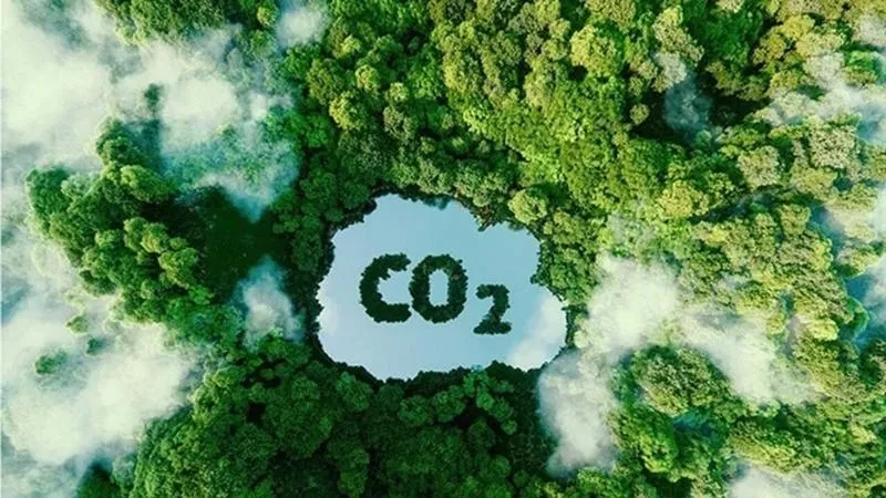 Sàn giao dịch carbon: Thanh khoản cần thời gian cải thiện