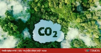 Sàn giao dịch carbon: Thanh khoản cần thời gian cải thiện