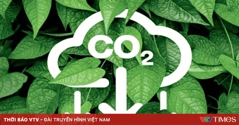 Sàn giao dịch carbon vẫn thiếu nguồn cung