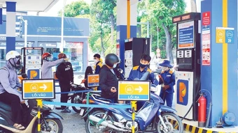 Sẵn sàng cung ứng xăng E10 trên thị trường