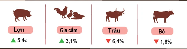 Sản xuất nông, lâm nghiệp và thủy sản quý III và 9 tháng năm 2026 đạt kết quả tích cực Sản xuất nông, lâm nghiệp và thủy sản quý III và 9 tháng năm 2026 đạt kết quả tích cực