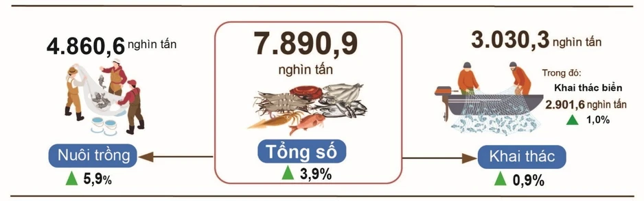 Sản xuất nông, lâm nghiệp và thủy sản quý III và 9 tháng năm 2026 đạt kết quả tích cực Sản xuất nông, lâm nghiệp và thủy sản quý III và 9 tháng năm 2026 đạt kết quả tích cực