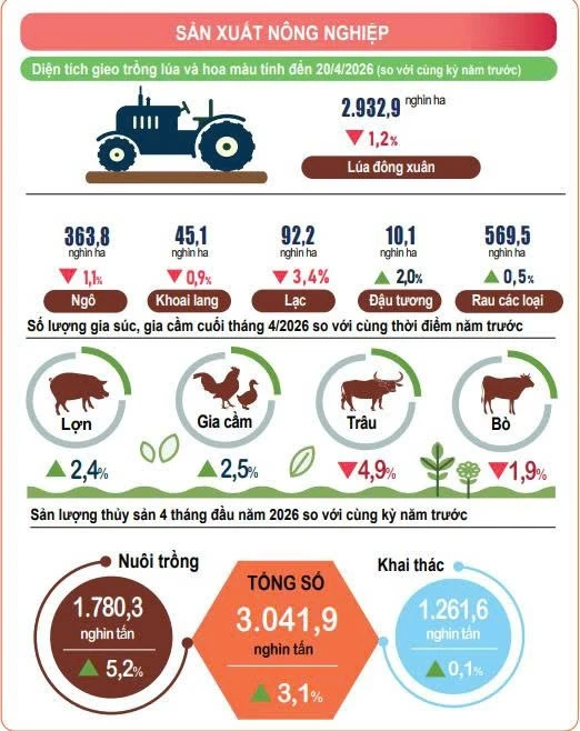 Sản xuất nông, lâm nghiệp và thủy sản tiếp tục ổn định trong 4 tháng đầu năm Sản xuất nông, lâm nghiệp và thủy sản tiếp tục ổn định trong 4 tháng đầu năm