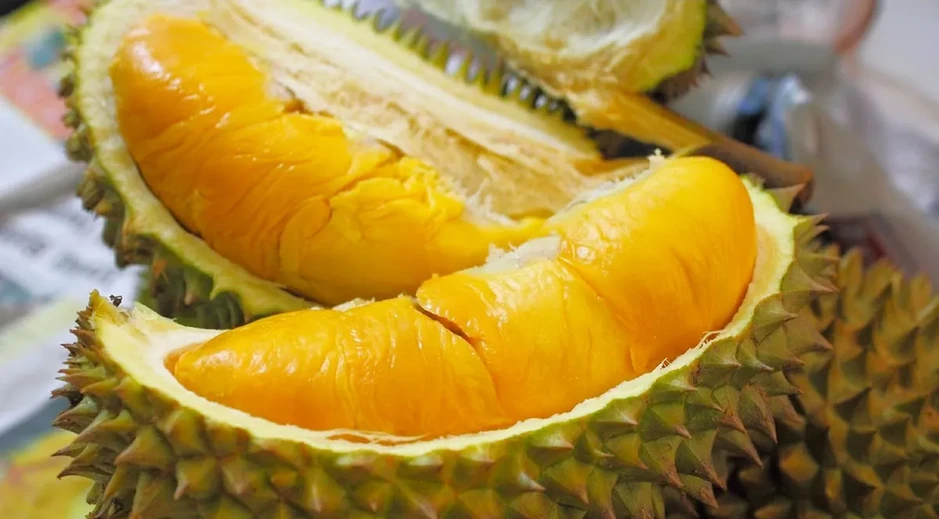 Sắp ban hành nghị quyết tháo gỡ vướng mắc về cấp mã số vùng trồng Sắp ban hành nghị quyết tháo gỡ vướng mắc về cấp mã số vùng trồng