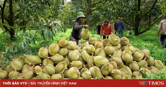 Sắp ban hành nghị quyết tháo gỡ vướng mắc về cấp mã số vùng trồng