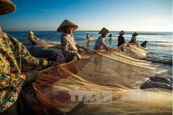 Sắp diễn ra Chương trình kết nối cung-cầu thủy sản nội địa tại Vietfish 2026