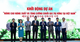 Sắp hình thành vùng sản xuất vừng hiện đại tại Nghệ An, Đồng Tháp