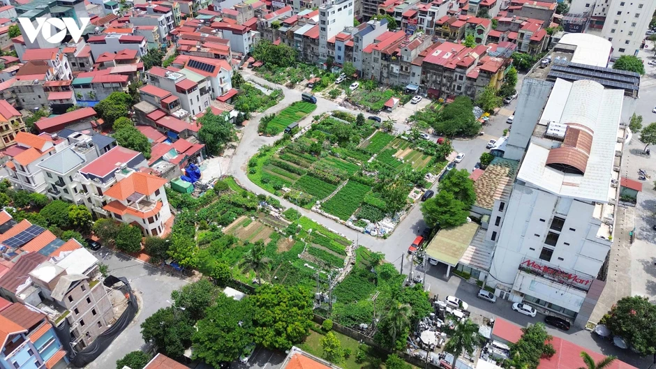 Sau 24 năm chờ đợi, 61 hộ dân một phường ở Bắc Ninh sắp được giao đất Sau 24 năm chờ đợi, 61 hộ dân một phường ở Bắc Ninh sắp được giao đất