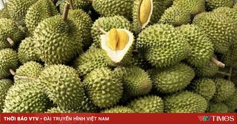 Sầu riêng ASEAN đổ bộ thị trường Trung Quốc