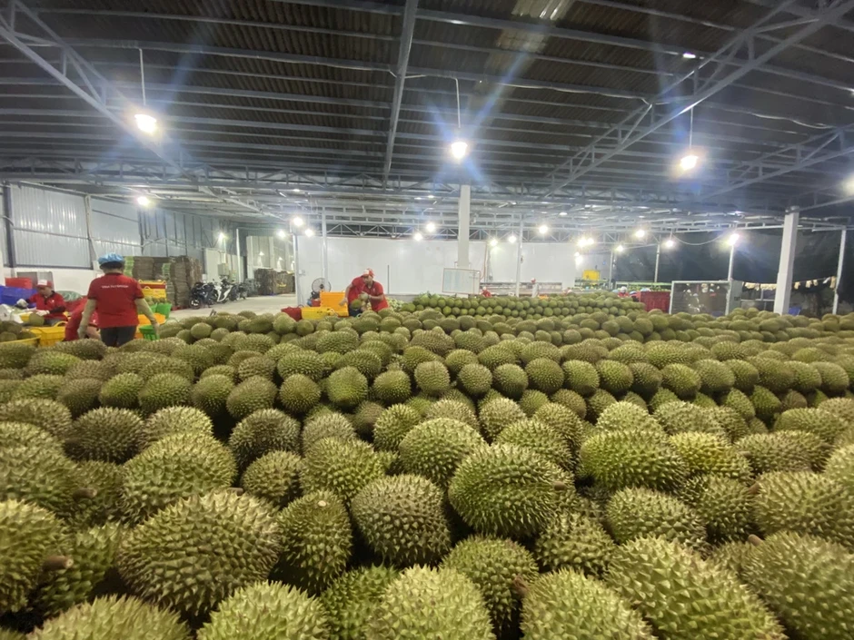 Sầu riêng, nhiều nông sản ùn tắc kiểm nghiệm, Bộ NN&MT chỉ đạo khẩn Sầu riêng, nhiều nông sản ùn tắc kiểm nghiệm, Bộ NN&MT chỉ đạo khẩn
