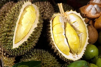 Sầu riêng, nhiều nông sản ùn tắc kiểm nghiệm, Bộ NN&MT chỉ đạo khẩn