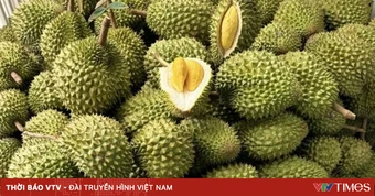 Sầu riêng tiếp tục tạo cú hích cho xuất khẩu nông sản Việt