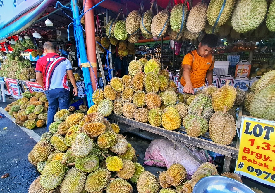 Sầu riêng Việt Nam xuất Trung Quốc thêm sức ép cạnh tranh từ Philippines Sầu riêng Việt Nam xuất Trung Quốc thêm sức ép cạnh tranh từ Philippines