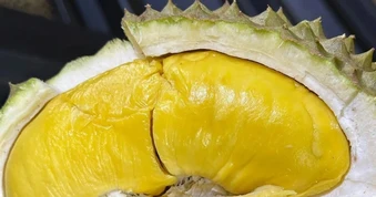 Sầu riêng Việt Nam xuất Trung Quốc thêm sức ép cạnh tranh từ Philippines