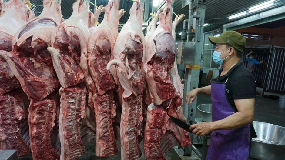 Siết quản lý giết mổ ở Hải Phòng: Áp lực từ hàng nghìn cơ sở nhỏ lẻ Siết quản lý giết mổ ở Hải Phòng: Áp lực từ hàng nghìn cơ sở nhỏ lẻ