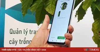 Siết vi phạm bản quyền số: Cơ hội cho kinh tế số sạch
