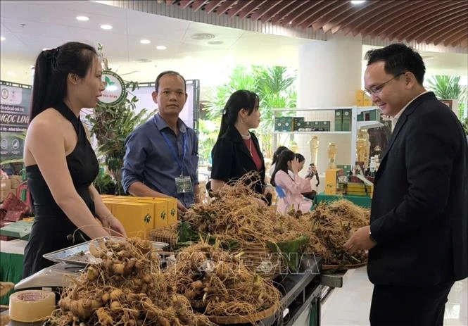'Số hóa' để định vị thương hiệu cao cấp cho sâm Ngọc Linh