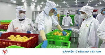 Số hóa thủ tục cấp mã số vùng trồng, tạo thuận lợi cho xuất khẩu nông sản