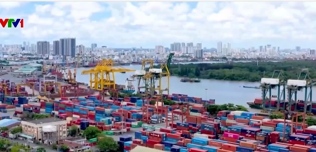 Số hóa thủ tục, tăng tốc dòng chảy hàng hóa qua cảng biển Số hóa thủ tục, tăng tốc dòng chảy hàng hóa qua cảng biển