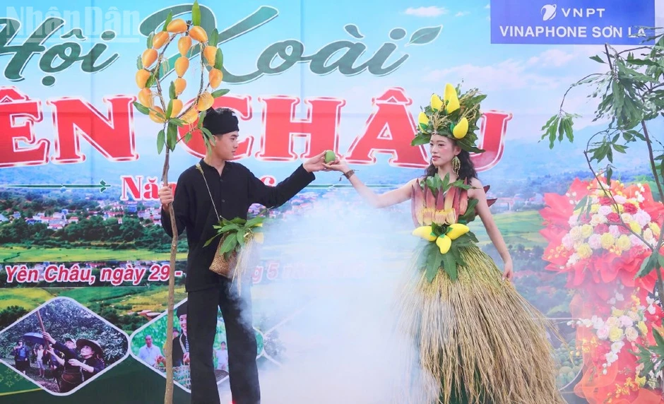 Sôi nổi ngày hội xoài Yên Châu năm 2026 Sôi nổi ngày hội xoài Yên Châu năm 2026