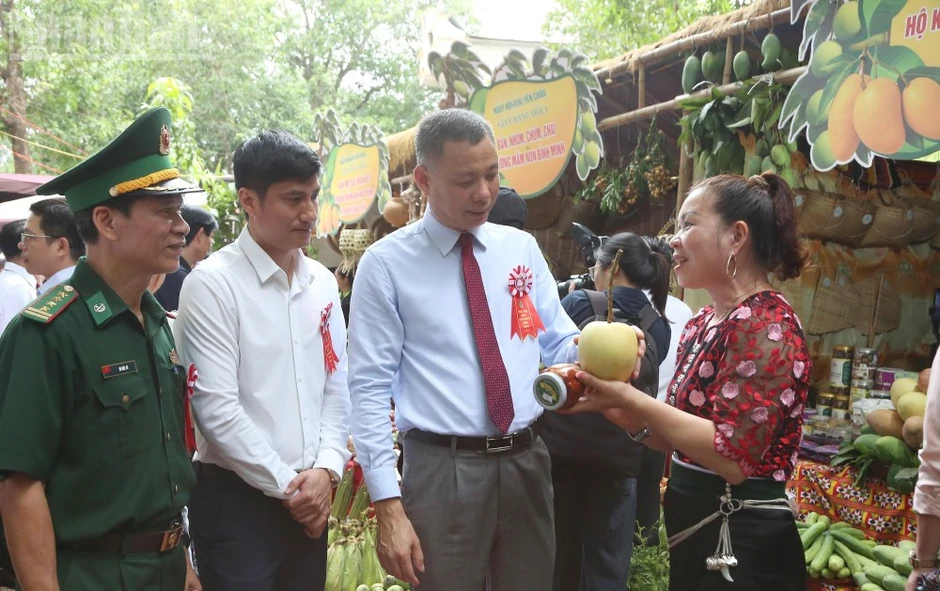 Sôi nổi ngày hội xoài Yên Châu năm 2026 Sôi nổi ngày hội xoài Yên Châu năm 2026