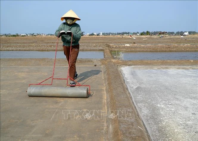 Sớm hoàn thiện cơ sở hạ tầng cho làng muối Sa Huỳnh đang xuống cấp nghiêm trọng Sớm hoàn thiện cơ sở hạ tầng cho làng muối Sa Huỳnh đang xuống cấp nghiêm trọng