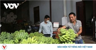 Sơn La phấn đấu giá trị hàng hóa xuất khẩu đạt 240 triệu USD trong năm 2026