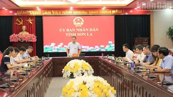 Sơn La rà soát, điều chỉnh bảng giá đất và đơn giá thuê đất