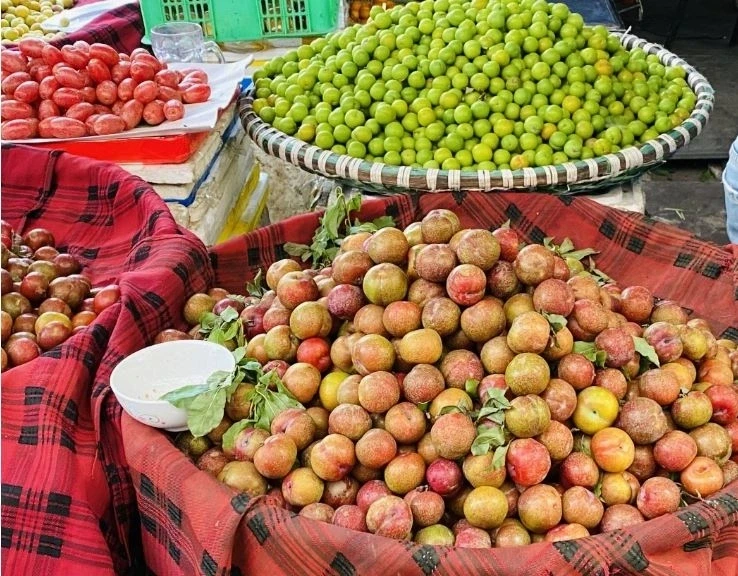 Sơn La tiêu thụ gần 30.000 tấn quả, thu về gần 630 tỷ đồng trong quý I năm nay