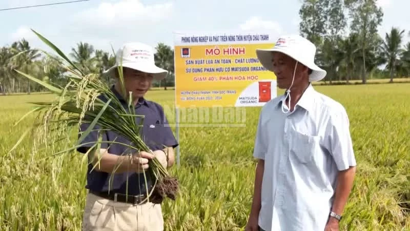 Tái cấu trúc chuỗi giá trị nông nghiệp trong kỷ nguyên dữ liệu Tái cấu trúc chuỗi giá trị nông nghiệp trong kỷ nguyên dữ liệu