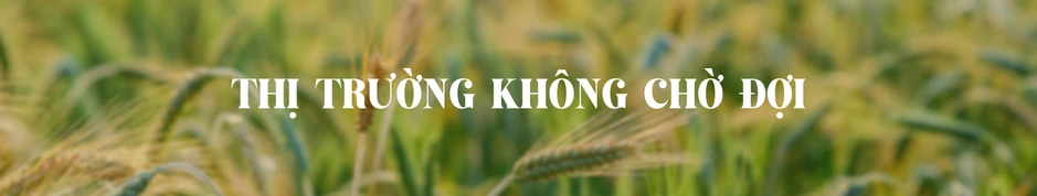 Tái cấu trúc chuỗi giá trị nông nghiệp trong kỷ nguyên dữ liệu Tái cấu trúc chuỗi giá trị nông nghiệp trong kỷ nguyên dữ liệu