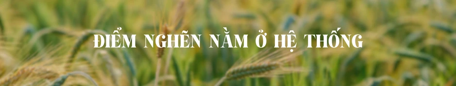 Tái cấu trúc chuỗi giá trị nông nghiệp trong kỷ nguyên dữ liệu Tái cấu trúc chuỗi giá trị nông nghiệp trong kỷ nguyên dữ liệu