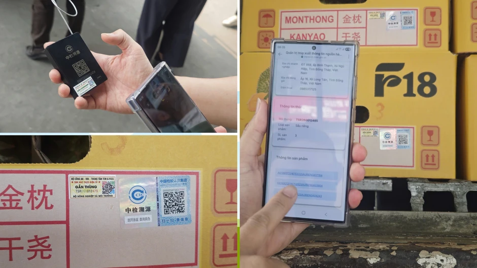 Tái cấu trúc chuỗi giá trị nông nghiệp trong kỷ nguyên dữ liệu Tái cấu trúc chuỗi giá trị nông nghiệp trong kỷ nguyên dữ liệu