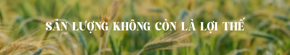 Tái cấu trúc chuỗi giá trị nông nghiệp trong kỷ nguyên dữ liệu Tái cấu trúc chuỗi giá trị nông nghiệp trong kỷ nguyên dữ liệu