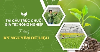 Tái cấu trúc chuỗi giá trị nông nghiệp trong kỷ nguyên dữ liệu