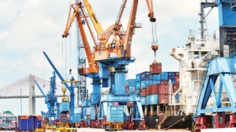 Tái cấu trúc chuỗi giá trị nông nghiệp