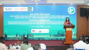 Tăng cường năng lực áp dụng và nhân rộng quản lý dinh dưỡng chính xác cho canh tác lúa 1 triệu ha chất lượng cao