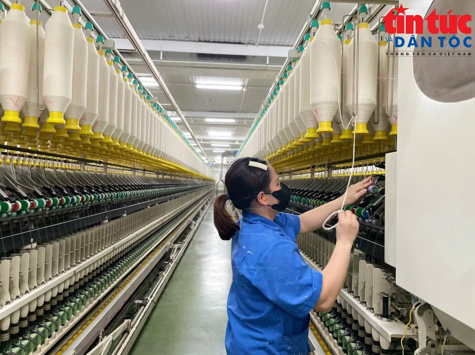 Tăng cường truy xuất nguồn gốc, minh bạch chuỗi cung ứng trước yêu cầu mới của thị trường Hoa Kỳ Tăng cường truy xuất nguồn gốc, minh bạch chuỗi cung ứng trước yêu cầu mới của thị trường Hoa Kỳ