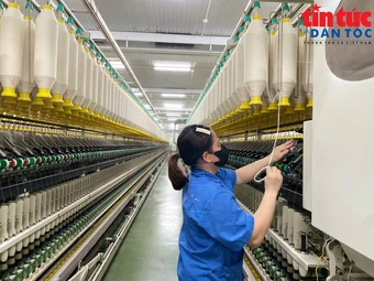 Tăng cường truy xuất nguồn gốc, minh bạch chuỗi cung ứng trước yêu cầu mới của thị trường Hoa Kỳ