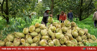 Tăng hậu kiểm, giảm thủ tục trong quản lý mã số vùng trồng