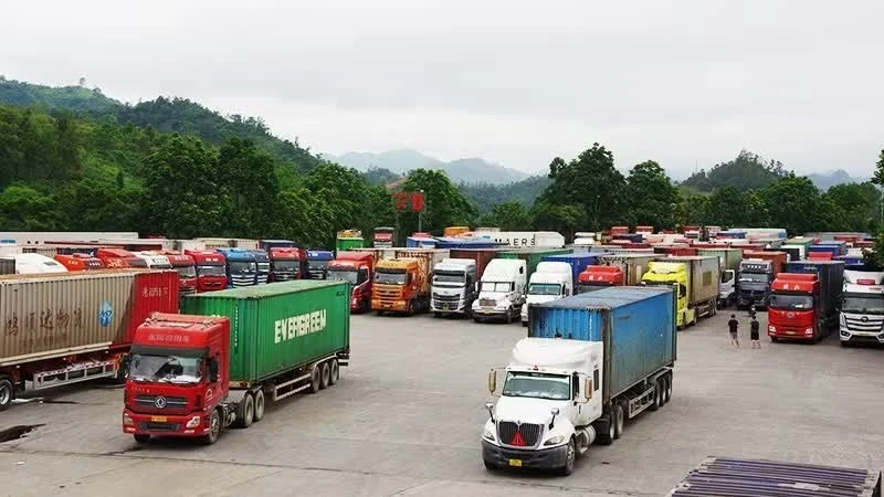 Tăng tốc hoàn thiện truy xuất nguồn gốc nông sản Tăng tốc hoàn thiện truy xuất nguồn gốc nông sản