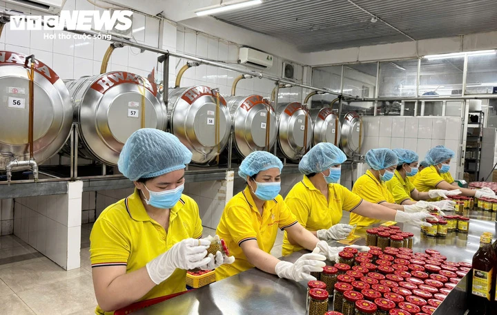 Tăng trưởng GRDP của TP.HCM quý 3 đạt 10,08% Tăng trưởng GRDP của TP.HCM quý 3 đạt 10,08%