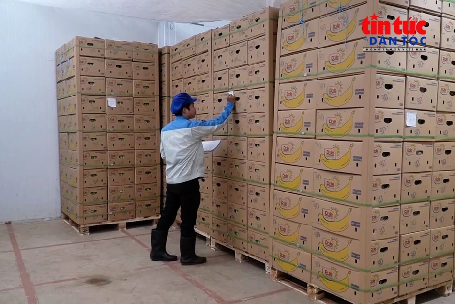 Tạo đà cho nông sản Việt - Bài 2: Nâng chất lượng sản xuất Tạo đà cho nông sản Việt - Bài 2: Nâng chất lượng sản xuất